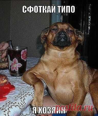 Ваш личный врач!!!