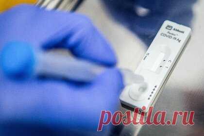 Биолог перечислила главные ошибки при выборе теста на COVID-19. Доктор биологических наук, профессор Школы системной биологии Университета Джорджа Мейсона (Вирджиния, США) Анча Баранова рассказала, что тесты, предназначенные для забора крови, не подойдут для выявления в организме коронавируса. Стоит применять тесты для забора из горла и носа.