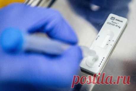 Биолог перечислила главные ошибки при выборе теста на COVID-19. Доктор биологических наук, профессор Школы системной биологии Университета Джорджа Мейсона (Вирджиния, США) Анча Баранова рассказала, что тесты, предназначенные для забора крови, не подойдут для выявления в организме коронавируса. Стоит применять тесты для забора из горла и носа.