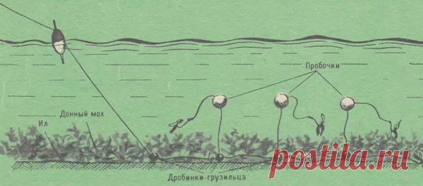 Самодельная снасть на карася — пробочка выручалочка | Блоги о даче, рецептах, рыбалке