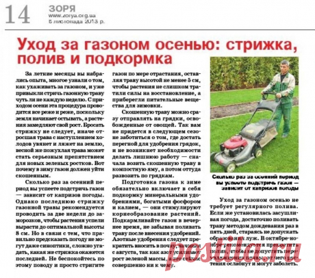 Уход за газоном осенью