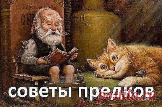 Считалка-напоминалка народного лекаря
Лечит мята невралгию,
Свеколка - гипертонию,
Земляника гонит соль,
А шалфей - зубную боль,
Арбуз кушай при нефрите,
А бруснику - при артрите,
Чтобы было больше сил,
Помни ты про девясил.
Клюква вылечит цистит,
Редька - кашель и бронхит,
Головную боль - калина,
А простуду - чай с малиной.
Печень подлечи рябиной,
Сердце - мятой и калиной,
Чтоб забыть о диабете -
Топинамбур ешь все лето.
Астму вылечи иссопом,
Мочевой пузырь - укропом.
Раны, язвы, геморрой