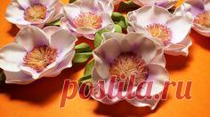 Pinterest • Всемирный каталог идей