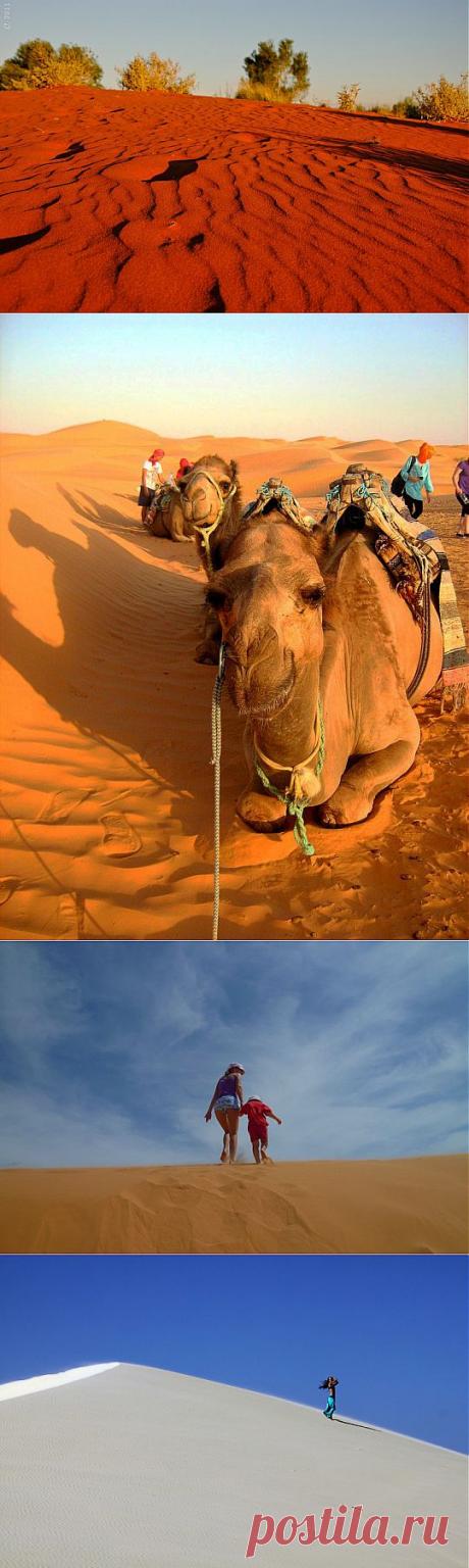 Секрет "поющих дюн" | НАУКА И ЖИЗНЬ