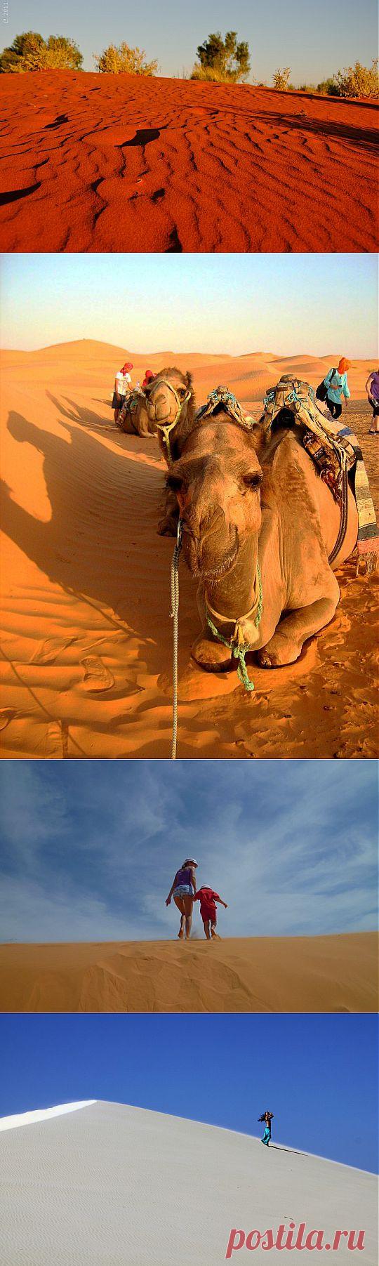 Секрет "поющих дюн" | НАУКА И ЖИЗНЬ