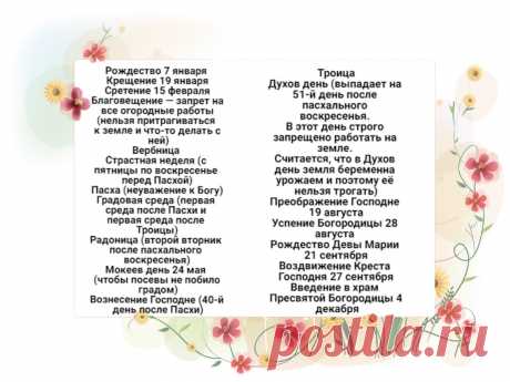 В какие дни категорически нельзя работать с землей и растениями | Маленький сад на краю Вселенной | Яндекс Дзен