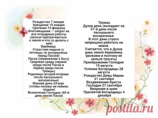В какие дни категорически нельзя работать с землей и растениями | Маленький сад на краю Вселенной | Яндекс Дзен