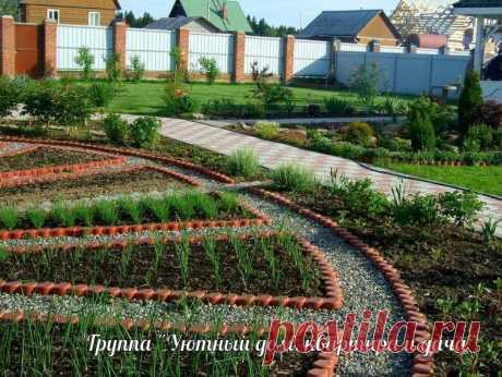 ПРАВИЛА ПОСЛЕДОВАТЕЛЬНОСТИ И РАЗМЕЩЕНИЯ КУЛЬТУР НА УЧАСТКЕ ПРАВИЛА ПОСЛЕДОВАТЕЛЬНОСТИ И РАЗМЕЩЕНИЯ КУЛЬТУР НА УЧАСТКЕ

✨Основная культура, которая требует много времени на созревание, может быть снова посеяна на той же грядке не раньше, чем через 3 года. Для моркови, свеклы, огурцов и петрушки этот срок увеличен, поскольку они плохо реагируют на собственные корневые выделения.

✨Основную культуру можно вернуть на грядку, если после нее посеять пшеницу, рожь, овес или расте...