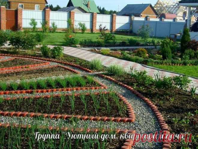ПРАВИЛА ПОСЛЕДОВАТЕЛЬНОСТИ И РАЗМЕЩЕНИЯ КУЛЬТУР НА УЧАСТКЕ ПРАВИЛА ПОСЛЕДОВАТЕЛЬНОСТИ И РАЗМЕЩЕНИЯ КУЛЬТУР НА УЧАСТКЕ

✨Основная культура, которая требует много времени на созревание, может быть снова посеяна на той же грядке не раньше, чем через 3 года. Для моркови, свеклы, огурцов и петрушки этот срок увеличен, поскольку они плохо реагируют на собственные корневые выделения.

✨Основную культуру можно вернуть на грядку, если после нее посеять пшеницу, рожь, овес или расте...