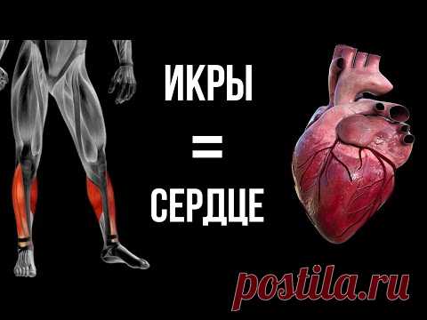 ИКРЫ - ТВОЁ ВТОРОЕ СЕРДЦЕ. Важнейшие мышцы, о которых все забывают.