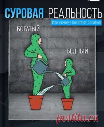Пин на доске мем's