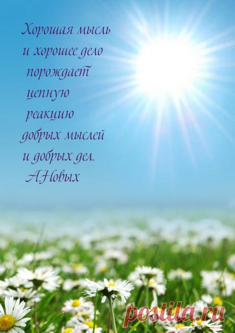 Картинки с надписями "Мудрые" - 23 стр.