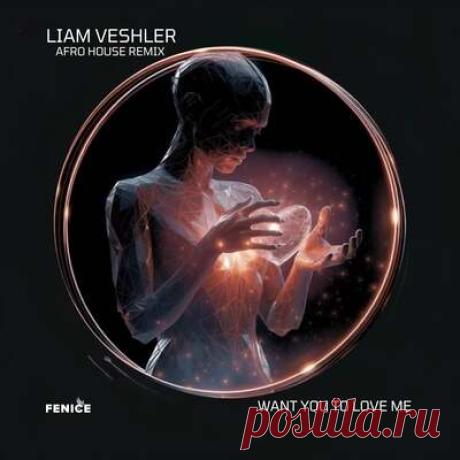 Liam Veshler - Want You to Love Me (Liam Veshler Afro Remix) | Progonlymusic Liam Veshler - Want You to Love Me (Liam Veshler Afro Remix). BPM: 120. Key: Dbm. Listen new music on Progonlymusic.