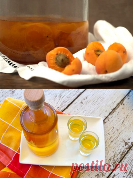 Рецепты абрикосовых наливок и настойки на абрикосах - 6 штук