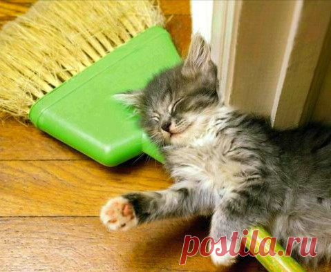 Это раньше говорили: "Где родился, там и пригодился",
а сегодня: "Куда припёрся, там и притёрся"!