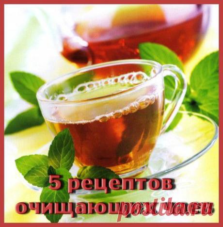 5 рецептов очищающих чаев. | Варварушка-Рукодельница