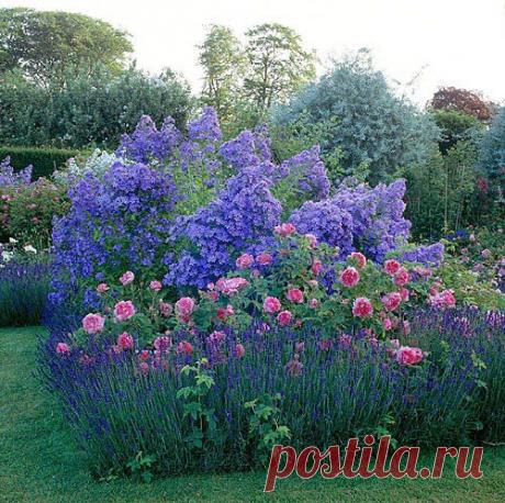 Ландшафтный . Грин-портал.ру – Google+