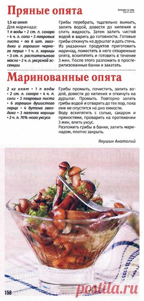 Пряные опята. Маринованные опята