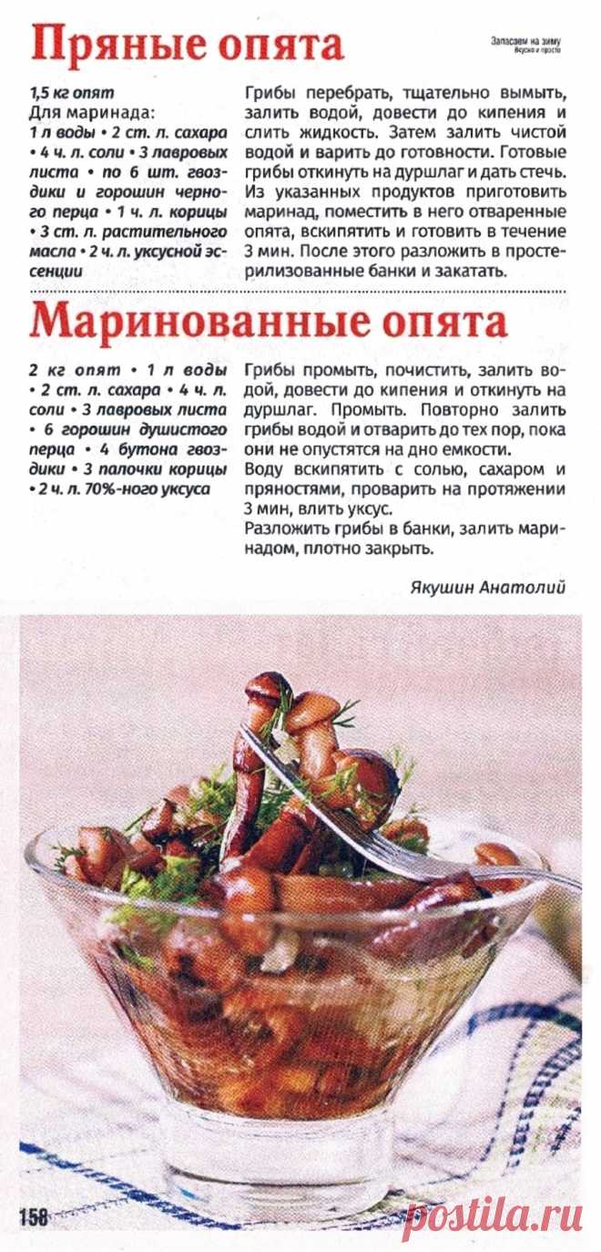 Пряные опята. Маринованные опята