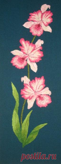 Яндекс.Фотки