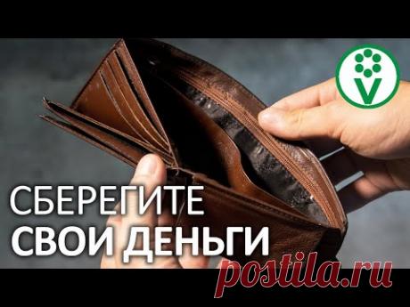 НАШАТЫРНЫЙ СПИРТ. СУПЕР-СПОСОБ подкормить ВОЗДУХ. Что не так с аммиаком?