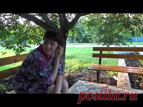 У Нины пирог у Андрея стройка а мы в разъездах