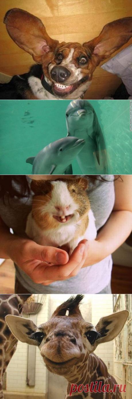 Как выглядят счастливые &amp;#8212; Всегда в форме!