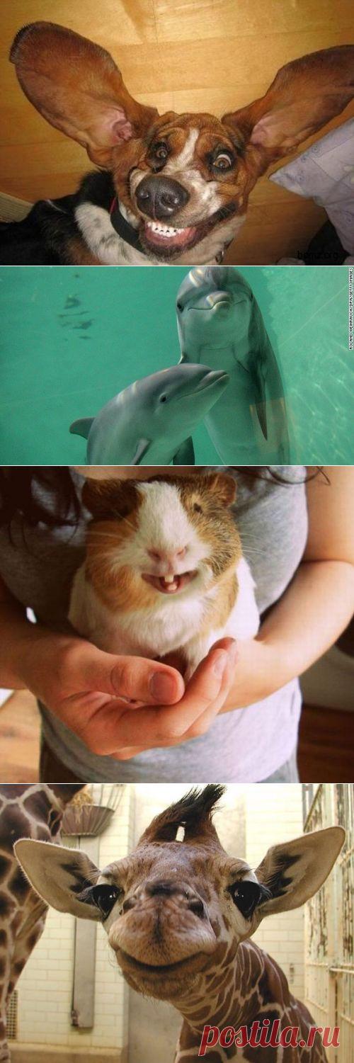 Как выглядят счастливые &#8212; Всегда в форме!