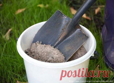 ПОЧТИ ВСЕ, ЧТО НУЖНО ЗНАТЬ ПРО ЗОЛУ