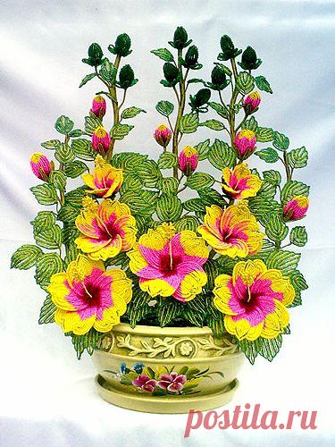 biser.info_83578_gibiskus_1385853074.jpg (375×500)