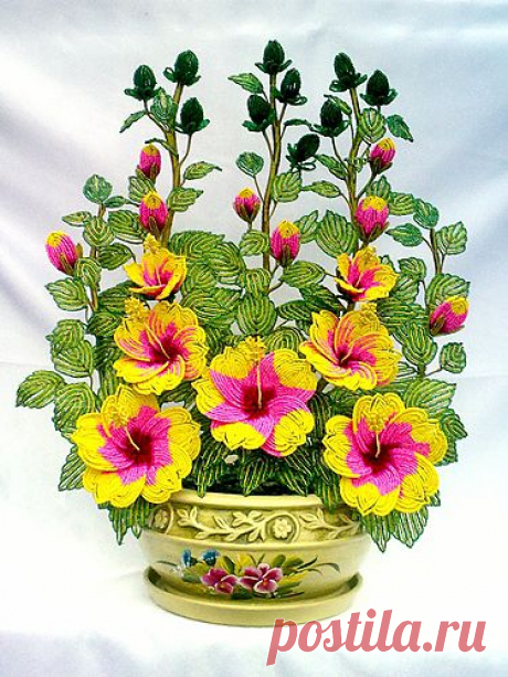 biser.info_83578_gibiskus_1385853074.jpg (375×500)
