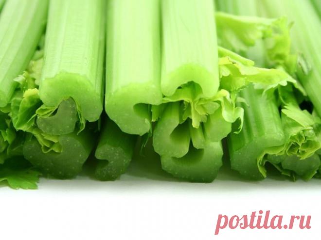 Салат с сельдереем - кулинарный рецепт на Повар.ру