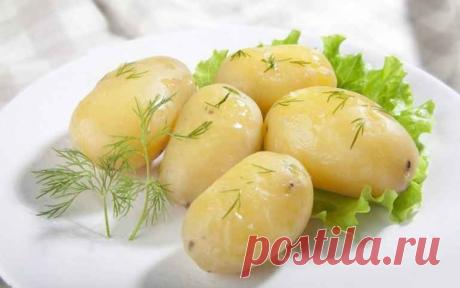 Как готовить картофель правильно, чтобы похудеть