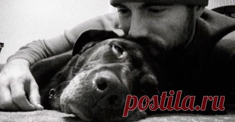 Гладя своего пса, парень ни о чем не подозревал. То, что он заметил, заставило его похолодеть… Белла, лабрадор шоколадного окраса, и Роберт Куглер, военный моряк в отставке из Небраски, США, были неразлучны девять лет, с того момента как Роберт впервые внес щенка в свой дом. Одним весенним днем, хозяин и собака, как обычно, отправились на прогулку. Роберт заметил, что собака тяжело припадает