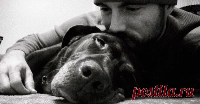 Гладя своего пса, парень ни о чем не подозревал. То, что он заметил, заставило его похолодеть… Белла, лабрадор шоколадного окраса, и Роберт Куглер, военный моряк в отставке из Небраски, США, были неразлучны девять лет, с того момента как Роберт впервые внес щенка в свой дом. Одним весенним днем, хозяин и собака, как обычно, отправились на прогулку. Роберт заметил, что собака тяжело припадает