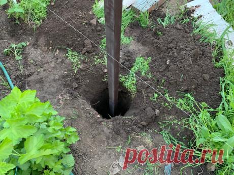 Самый правильный фундамент для легких заборов (профлист, дерево, рабица)! Никогда не перекосит в мороз и не вырвет ветром | Строю для себя | Яндекс Дзен