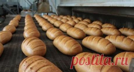 Белый хлеб вреден, а манная каша бесполезна | Правильное питание для снижения веса, здорового и вкусного похудения