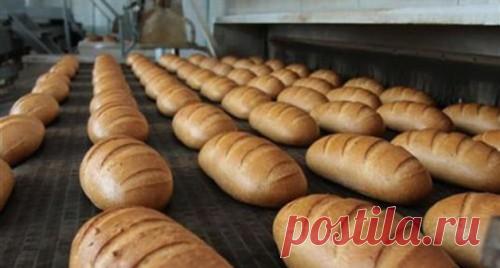 Белый хлеб вреден, а манная каша бесполезна | Правильное питание для снижения веса, здорового и вкусного похудения