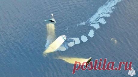 В Мурманской области потерпел крушение одномоторный гидроплан