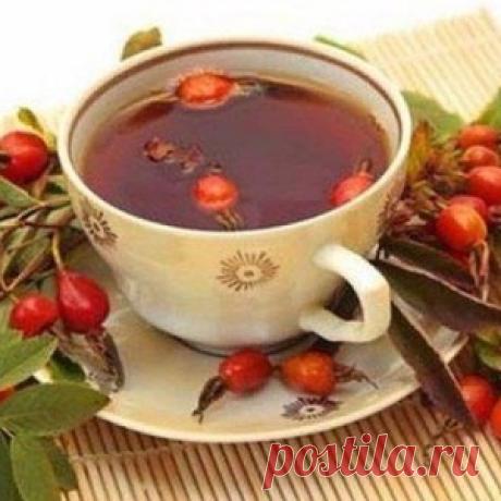 Грамотно завариваем шиповник - МирТесен