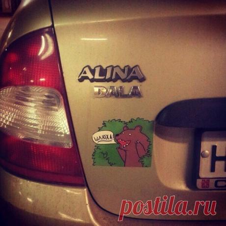 Лучшие автомобили