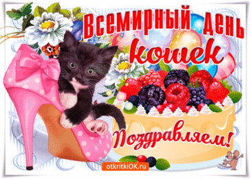 Себя считают люди
Хозяевами кошек,
Но кошки независимо
Идут своей дорожкой.