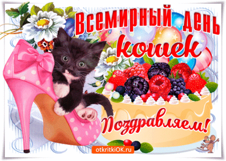 Себя считают люди
Хозяевами кошек,
Но кошки независимо
Идут своей дорожкой.