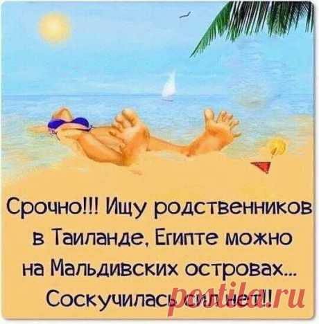 Немного юмора о разном