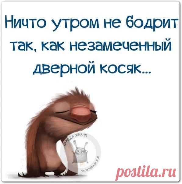 Юмор, цитаты, ...