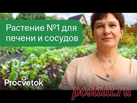 90% ЛЮДЕЙ ВЫБРАСЫВАЕТ ЭТО СРЕДСТВО ДЛЯ ПОХУДЕНИЯ, СНИЖЕНИЯ ДАВЛЕНИЯ И ЗДОРОВЬЯ ПЕЧЕНИ!