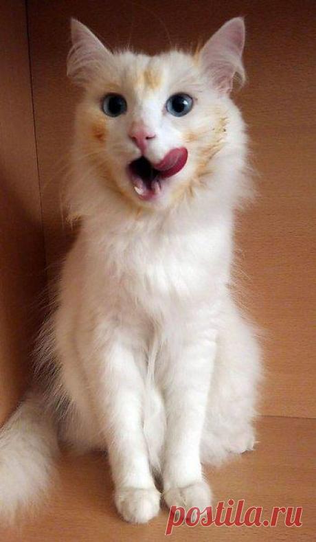 Интересные новости