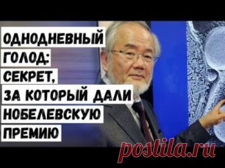 Однодневный Голод Секрет, за который Дали Нобелевскую Премию