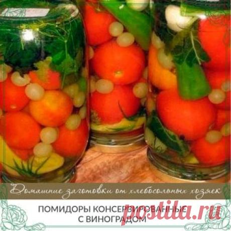 (11) Домашние заготовки Хлебосольных хозяек - Главная