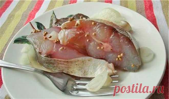 Солим вкусного и нежного ТОЛСТОЛОБИКА в стеклянной БАНКЕ!